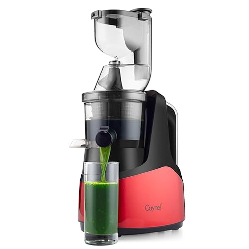 Best Juicers For Celery Juice In 2023 Top 10 Rated Reviews