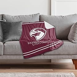 Fairmont State University Primary Logo Stripes