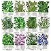 Non-GMO Culinary Herb Seed Collection, 12 Individual Seed Packets Incl. 4,000+ Seeds Collectively (Sage, Basil, Chives, Cilantro, Rosemary, Dill, Marjoram, Oregano & More!) Seeds by Seed Needs primary