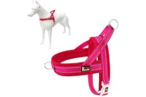 Plutus Pet No Pull Dog Harness with Breathable Mesh Padded, Adjustable Reflective Escape Proof Dog Harness, Quick Fit Dog Vest Harness for Small Medium Large Dogs(XS, Pink)