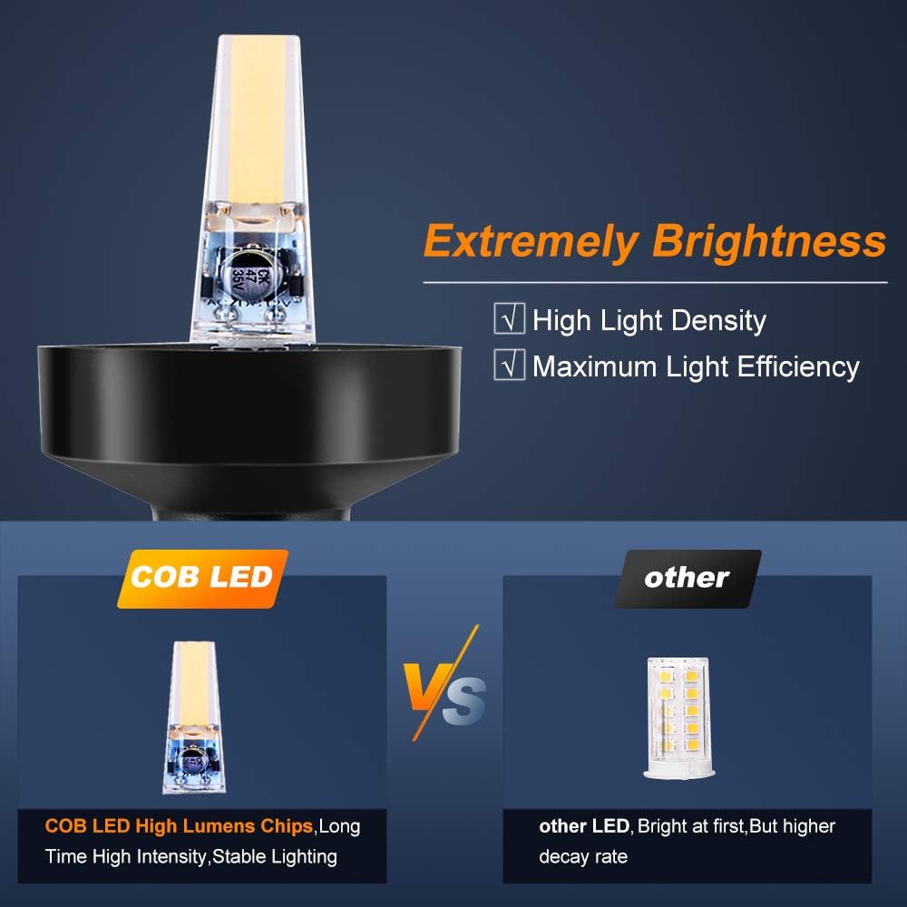 Sebnux White LED Fold Down Boat Stern Light Boat Anchor Light for Pontoon and Fishing Boat (12“): Automotive