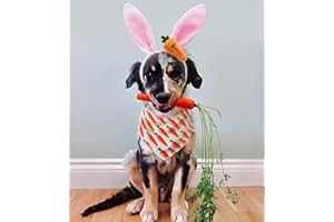 BOOMBONE Bunny Ears Headband for Dogs and Easter Dog Bandana