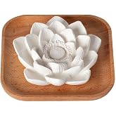 Plant Therapy Passive Lotus Flower Aromatherapy Essential Oil Diffuser | A Chic and Natural Home, Office, and Travel Essential Oil Diffuser