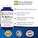 D-Ribose - 1500 mg 180 Count - ATP Supplement - Increased Bioenergy and Muscle Recovery