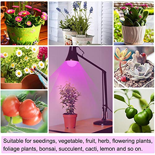 LED Grow Light Bulb, Full Spectrum Growing Lights for Indoor Plants, 20W E27 LED Plant Light Bulbs for Hydroponic Succulent Herbs Vegetable Flower Seed, Seedling, Indoor Gardening Greenhouse Grow Lamp