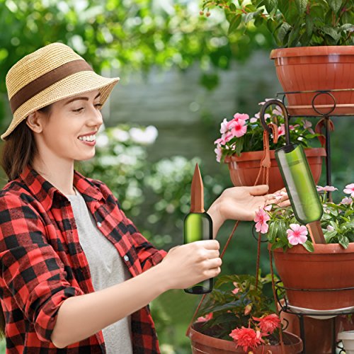 Gardening Solutions Terracotta Watering Spikes Water Plants with