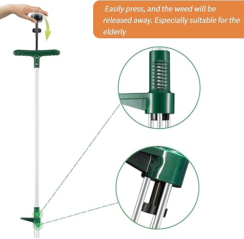 hstcstbl-table__image