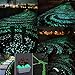 Tomnk 200PCS Glow Stones in the Dark Glow Pebble for Garden Walkway and Decor, 4 Colors, with Gift of Glow in the Dark Butterfly