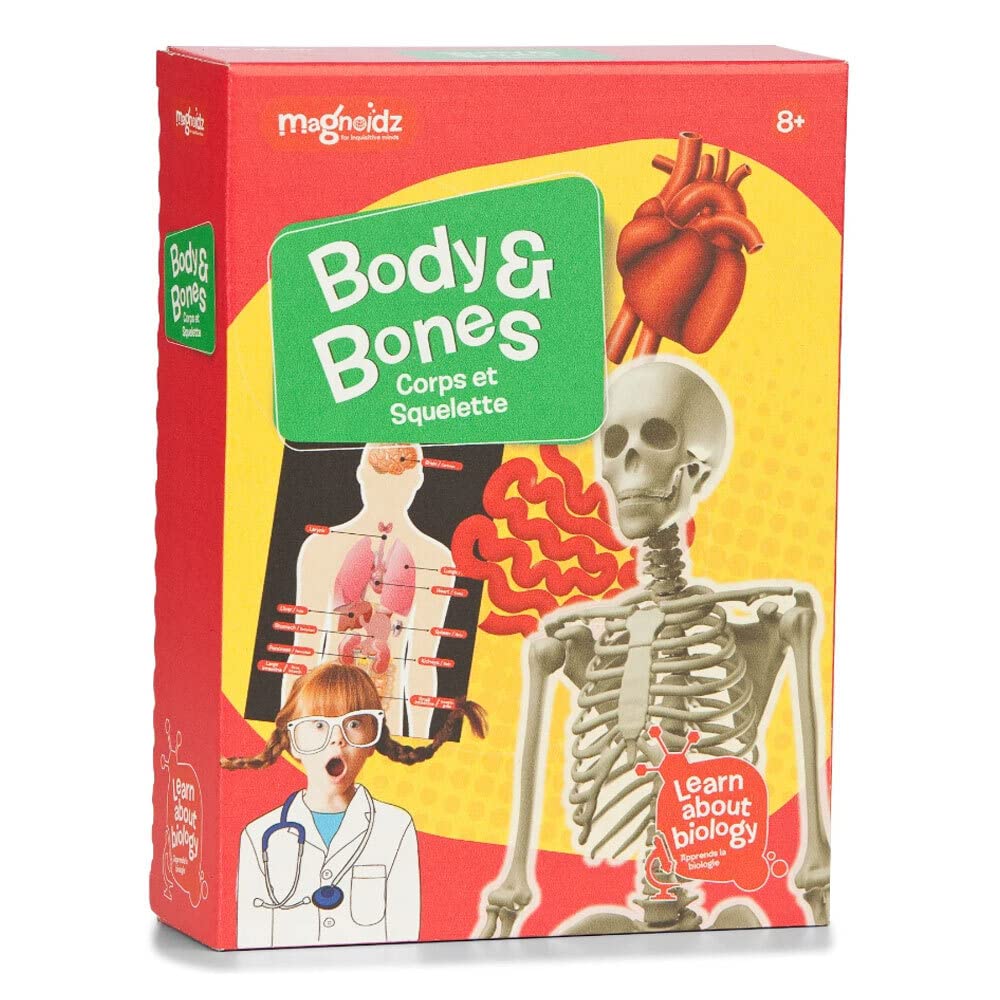 Magnoidz Body And Bones Kit