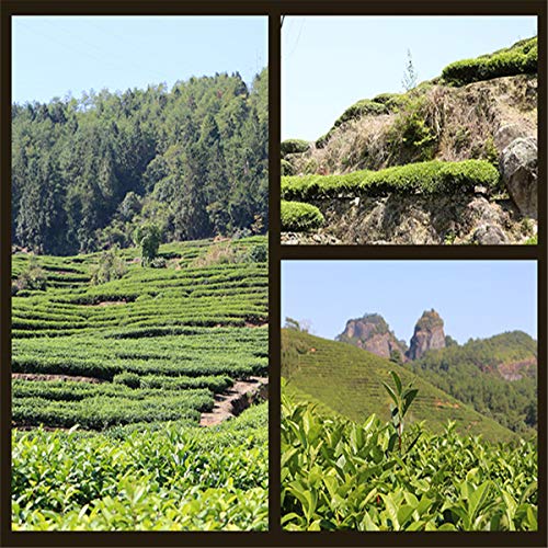 Fabrik direkt 250g Dahongpao Oolong Tee, große rote Robe Oolong, Wu lange Wulong Wu-lange Da Hong Pao schwarzer Tee – Bild 7
