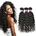 FASHION QUEEN Hair Brazilian Water Wave 3 Bundles Wet and Wavy Human Hair Brazilian Virgin Human Hair Extensions (18 20 22 inch)