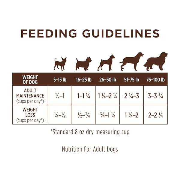 INSTINCT LIMITED INGREDIENT DIET, NATURAL DRY DOG FOOD, GRAIN FREE RECIPE – REAL SALMON, 4 LB. BAG