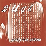 Sixteen Stone