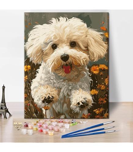 Amazon.com: ZMHZMY Digital Oil Painting Artwork,Bichon Frise Dog