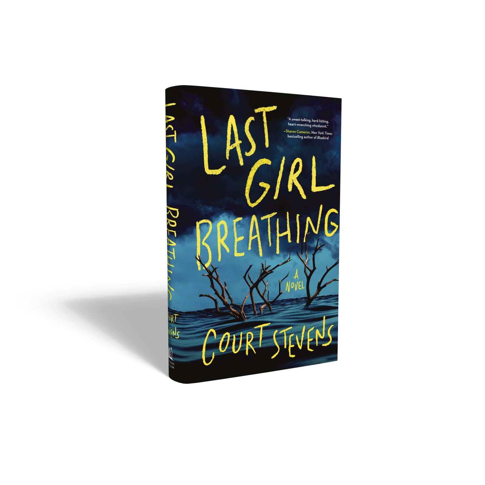 Last Girl Breathing: A Novel