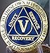 RecoveryChip 5 Year Reflex Blue Gold Plated AA Medallion Alcoholics Anonymous Sobriety Chip