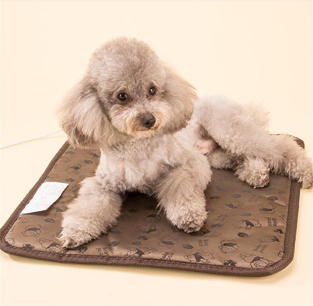 W Only You J Pet Electric Blanket Puppy Cat Heating Desertcart