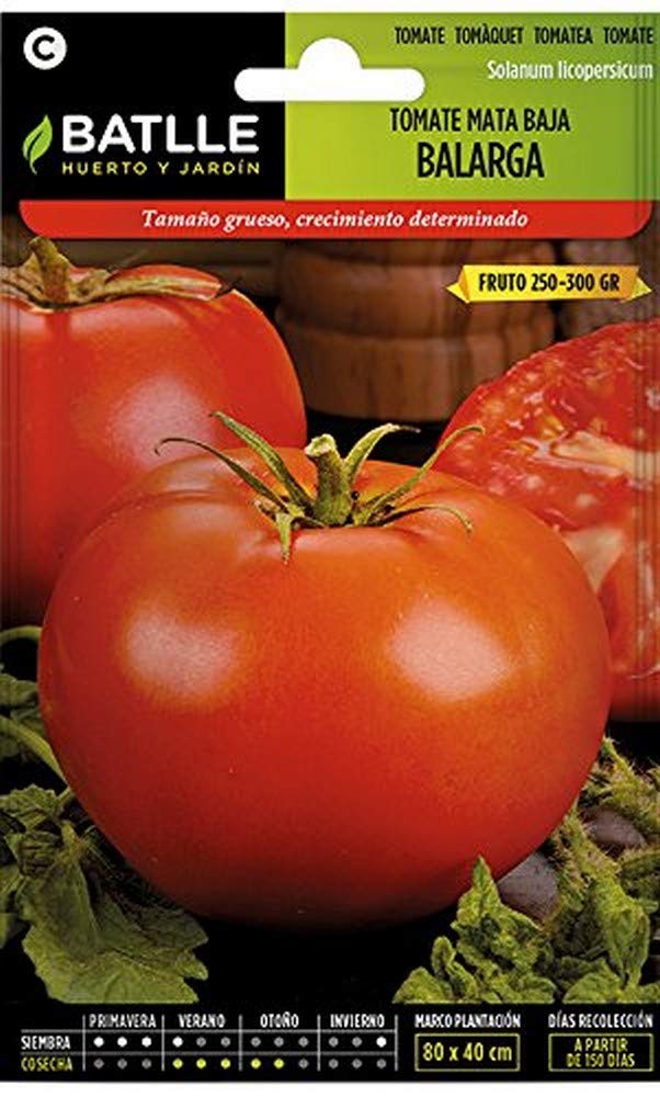 Seeds Batlle – Tomato Seeds Balarga