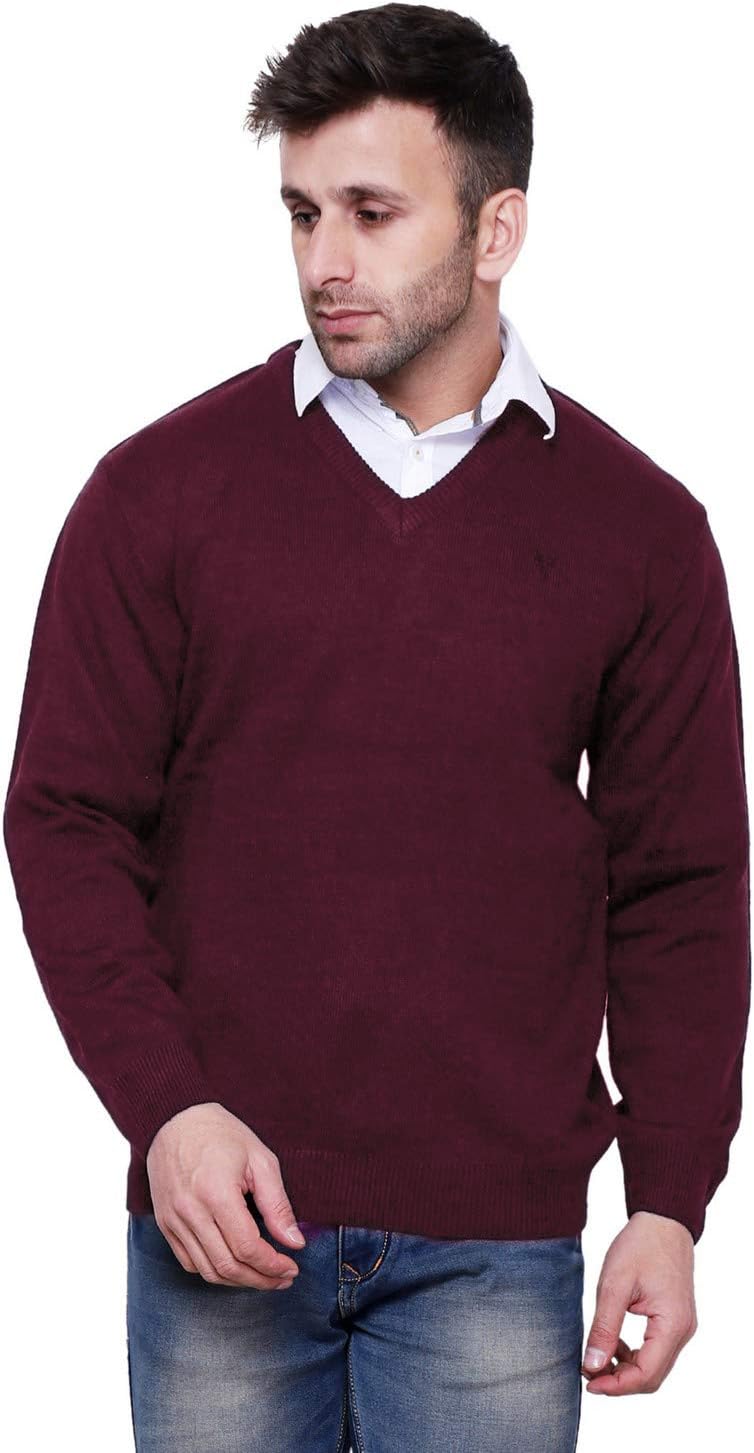 BlackBuck Men's V-Neck Sweater for Men