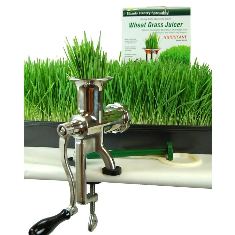 Buy Handy Pantry HJ Hurricane Stainless Steel Manual Wheatgrass Juicer  Online at Low Prices in India - Amazon.in