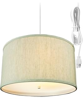 2 Light Plug In Pendant Light By Home Concept Hanging Swag Lamp