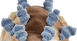 Zappi Co Ultra Soft Ankylosaurus Plush Toy 32cm Safari Collection view 5