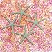 LJY 25 Pieces 3.15 Inches Beige Resin Pencil Finger Starfish for Wedding Home Decor and Craft Project