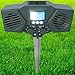 PestZilla 1 Powerful Solar Ultrasound with Flashing LED Lights Outdoor, Green primary