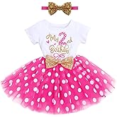 Baby Girls 1st 2nd Birthday Outfit Mouse Ladybug Dress Headband Polka Dots Tutu Skirt Set ONE Cake Smash Photo Shoot