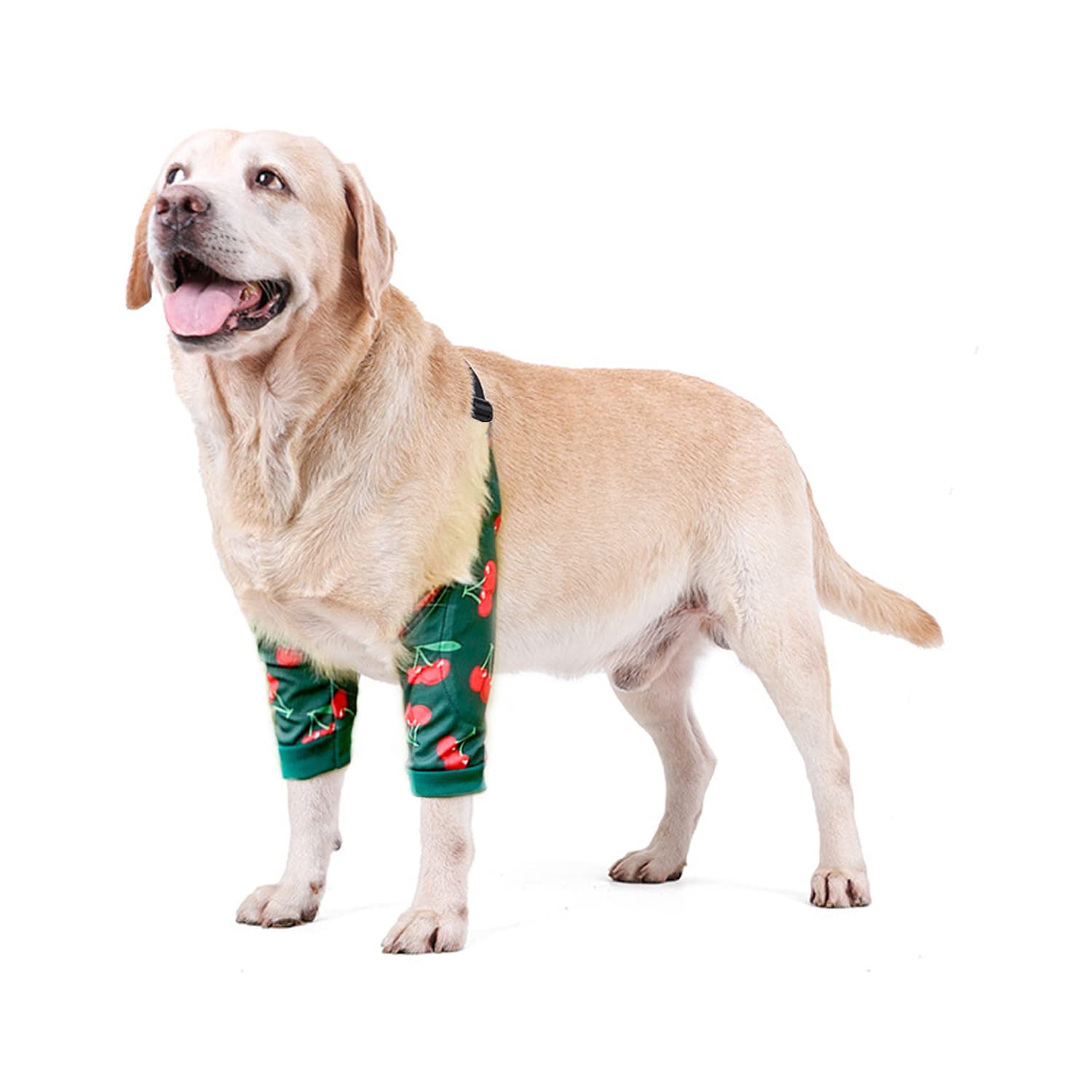 BT Bear Dog Surgery Recovery Sleeve for Front Legs, Pet Prevent Licking Wound Elbow Brace Protector Dogs Hip Joint Protector Recovery Sleeves (XL, Green Cherry)