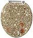Ginsey Home Solutions Elongated Resin Toilet Seat, Sea Isle 59718