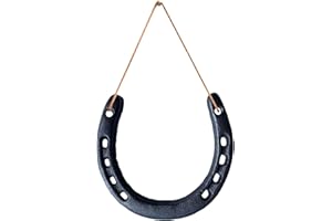 Fight Club Lucky Horseshoe Wall Art for Good Luck, Home Housewarming, Wedding Gift, Multipurpose Room Decor