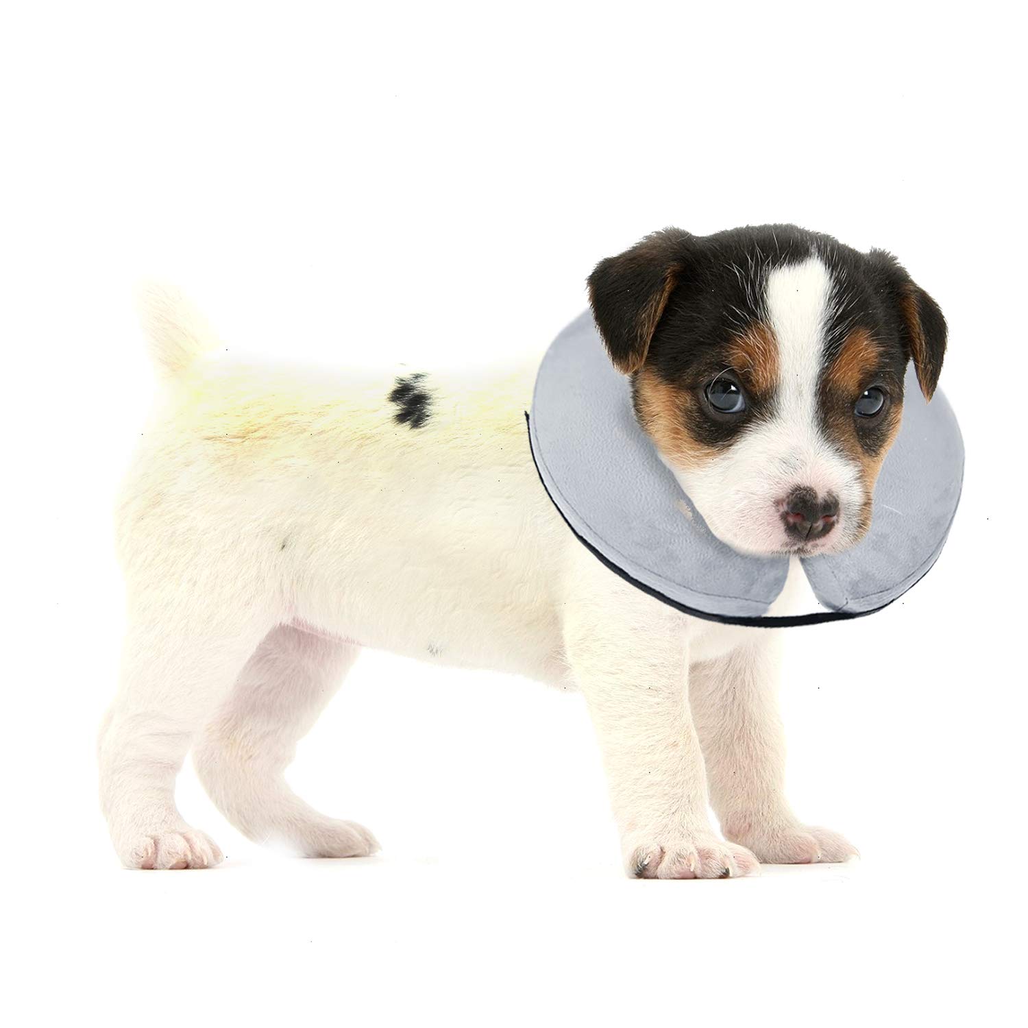 BENCMATE Protective Inflatable Collar for Dogs and