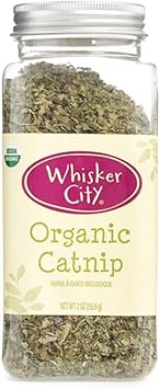 whisker city natural catnip