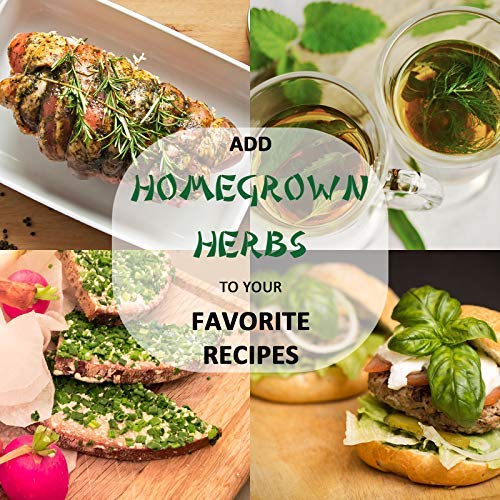 KORAM Herb Garden Kit Growing Kit Gardening Starter Set- 10 Herbs Grow from Organic Seeds Indoor Herb Kit with Everything a Gardener Needs for Growing Herbs Indoors, Kitchen, Balcony Christmas Gift