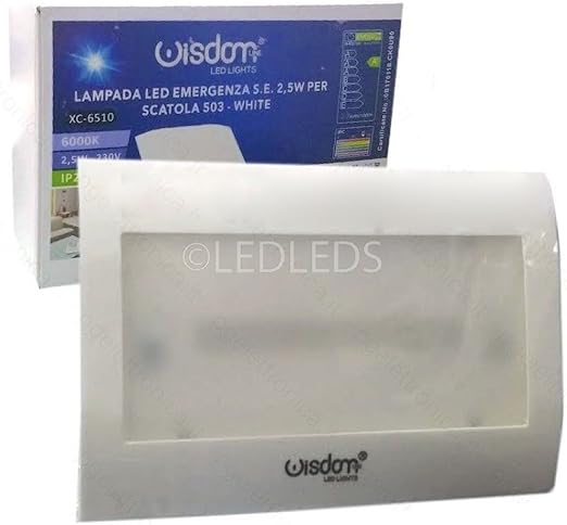Bombilla, luz de emergencia LED empotrable en caja 503, 2,5 W: Amazon.es: Iluminación