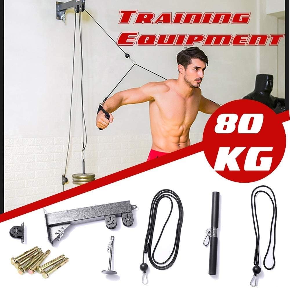 forearm curl machine