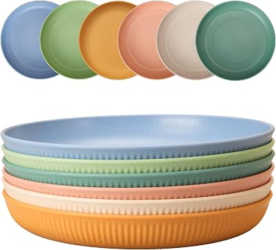 CSYY 6pcs Unbreakable Dinner Plates Set 9 Inch Plastic Deep Plates