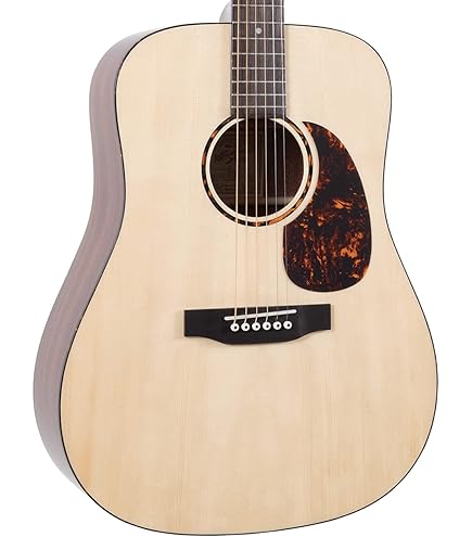 Amazon.com: Recording King RO-G6 Solid Top 000 Guitar : Musical