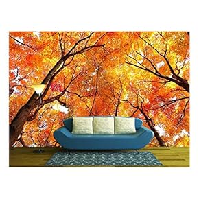 Maple Tree in Autumn - Removable Wall Mural | Self-Adhesive Large Wallpaper - 66x96 inches