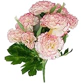 Corkwaw 40 Heads Artificial Carnations,Silk Hydrangea Bouquet Decoration Plastic Plant Suitable for Photo Props Family Party Home Decoration Bridal Wedding Bouquet Decoration (red Edge)