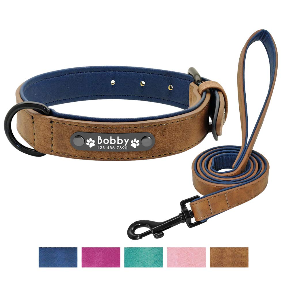 Didog Soft Leather Padded Custom Dog Collar with Personalized Nameplate