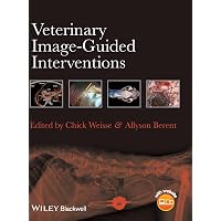 Image-Guided Interventions: Expert Radiology Series: 9780323612043
