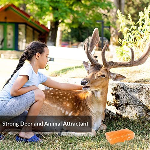 Himalayan Nature 100 Natural Himalayan Rock Deer Salt Block Animal