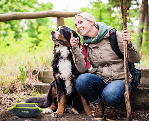 Collapsible Canvas Dog Bowl, Portable for Easy Travel, Foldable and Pocket Size for Running, Walking, Hiking, and Camping, Waterproof Lining Holds Food and Water and Includes Reflective Trim