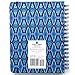 Posh: Organized Living 17-Month 2019-2020 Monthly/Weekly Planner Calendar: Blue Lagoon