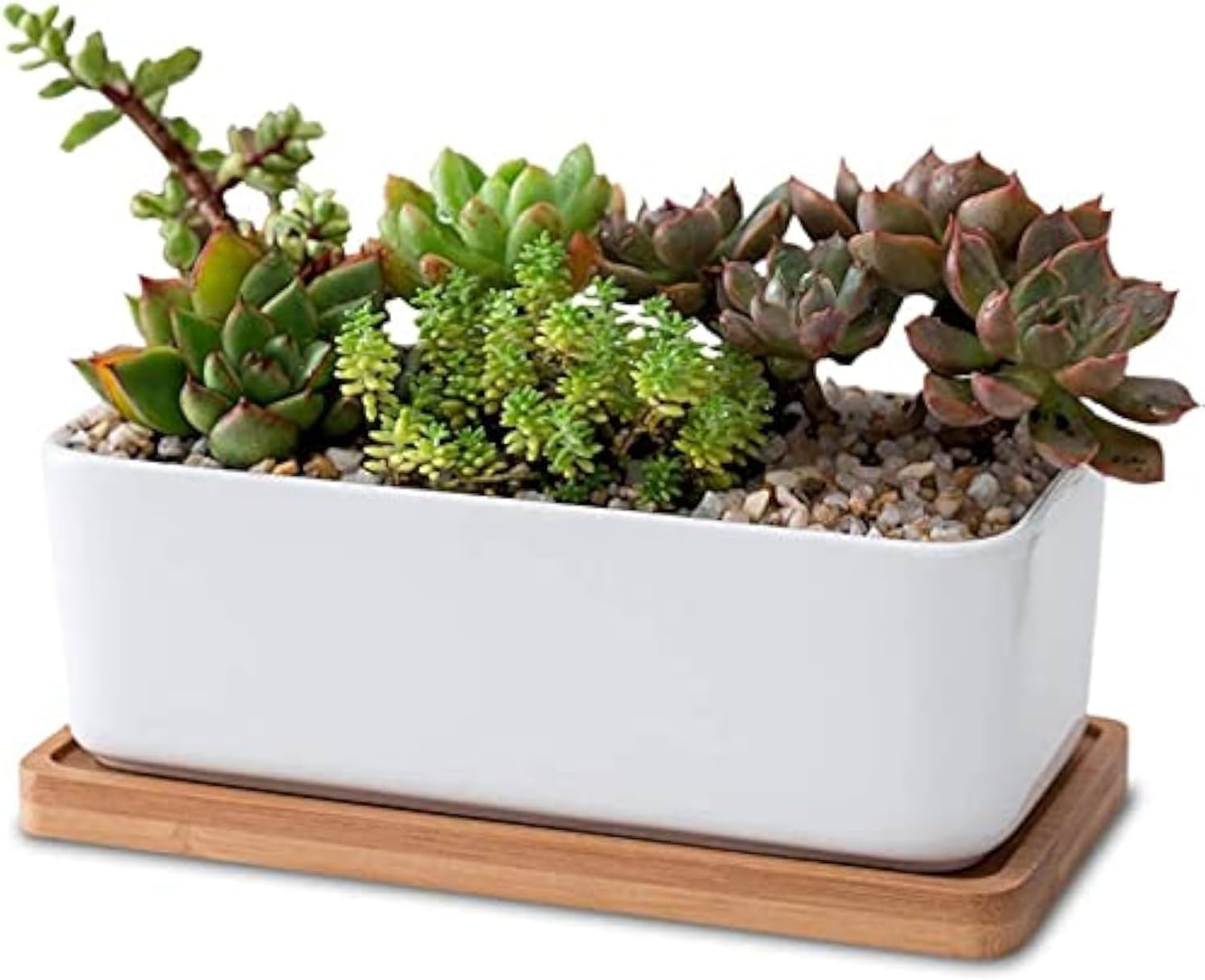 LATRAT 1 Set Rectangle White Ceramic Succulent Plants Pot Decorative Cactus Flower Pot Flower Container Pots Cactus Plant Pots Small Flower Pots with Bamboo Coaster White