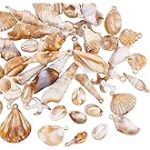 PH PandaHall 44pcs Shell Pendants Acrylic Scallop Pendants Imitation Shells Beach Seashells Charms Summer Sea Shell Charms for Jewelry Making Earrings Bracelets Crafts, Hole 2mm