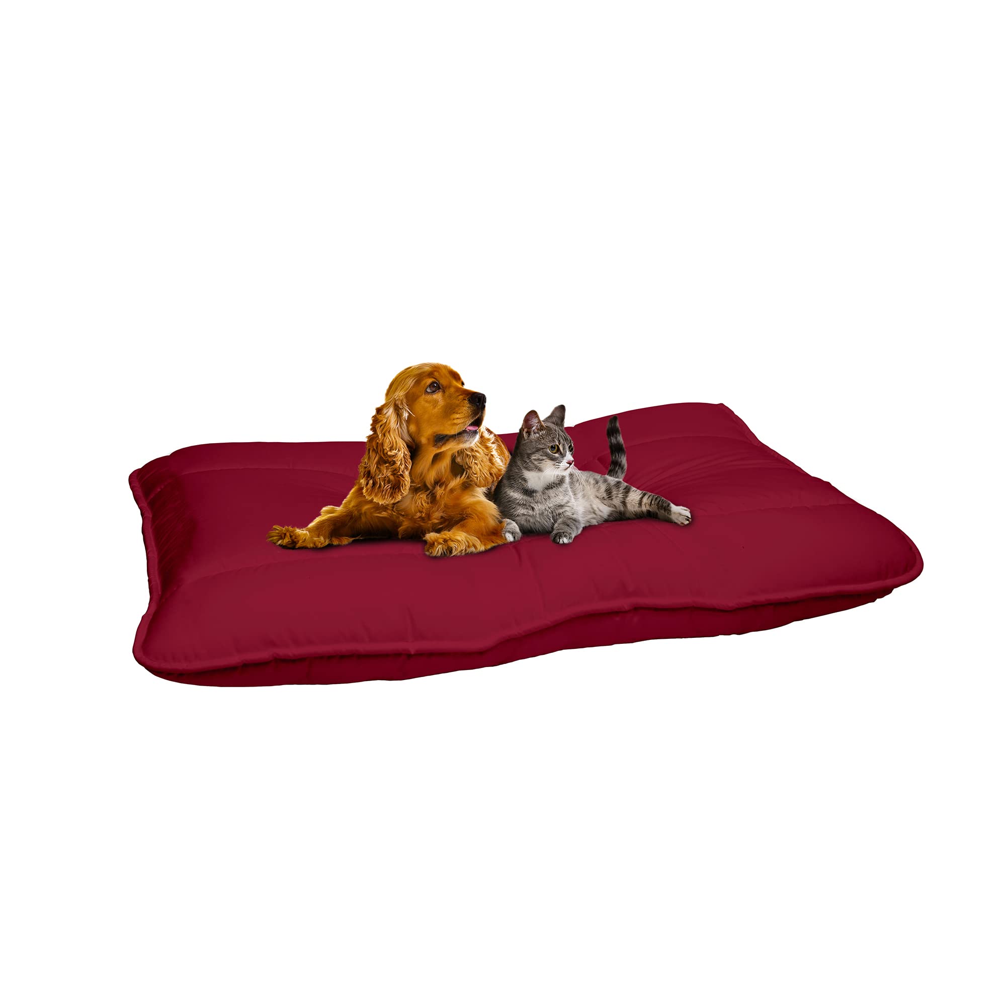 Stripey Finds Italian Bed Linen Dogs Maxy Pillow, 60 x 100 cm, Bordeaux