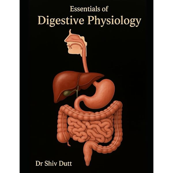 The Digestive System: Systems of the Body Series: 9780702083761